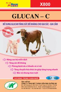 Glucan C